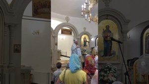 Митрополит Елисей