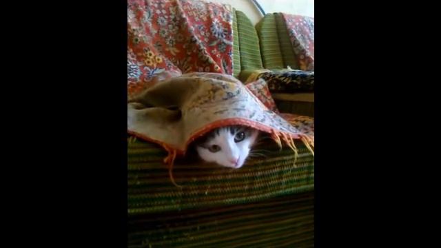 Амина_Кто в теремочке живет.wmv смотреть онлайн