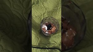 Как отомстить шумным соседям