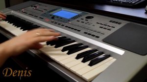 Korg pa50 Demo Set Denis