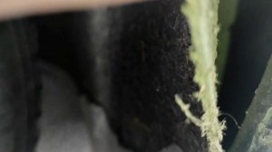 Лада Гранта. Кошмар в подкрылках?