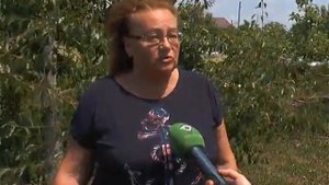 Дачники жалуются на незаконный питомник для собак