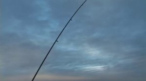 Донка. О сколько разных рыб живет в яме! И поклевок немерено.