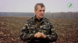 №19 Сняли стресс и ожог у подсолнечника после ошибочного внесения гербицида