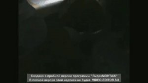 Отец Василий Новиков
отчитывает одержимых людей в храме.