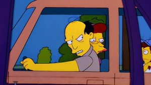 Симпсоны – 7 сезон 20 серия / The Simpsons