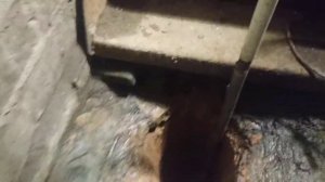 делаю дренаж для ямы в гараже 2 ч