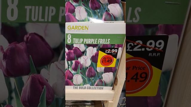 Tulips for Spring 2022 | Buy Tulip Bulbs and Plant in Autumn | Updated What's in Home Bargains?