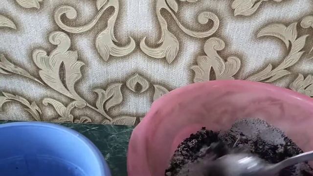 Гиппеаструм. Пересадка и уход смотреть онлайн