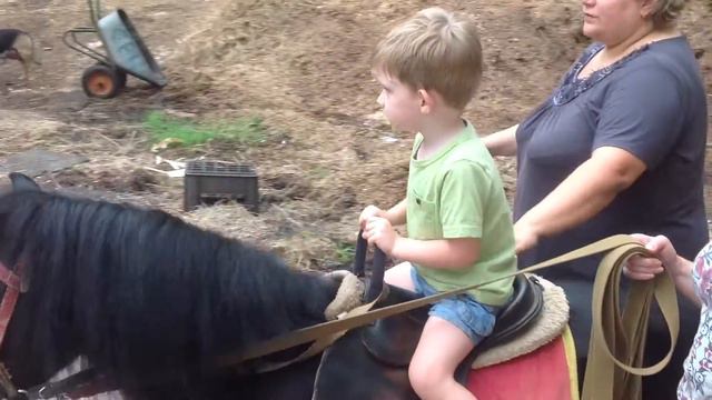 Катание на пони в Ярославле смотреть онлайн