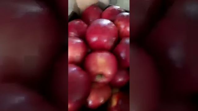 Яблоки Ред Чиф оптом смотреть онлайн