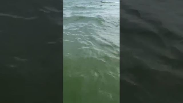 День на море / az Купаемся в Каспии / Swimming in the Caspian Sea