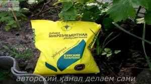 Внекорневая подкормка винограда перед цветением.