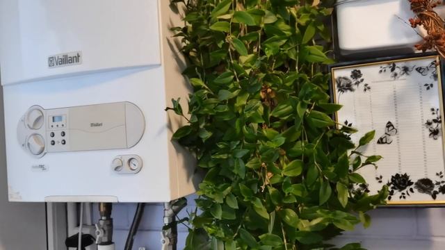 Один ВОСКРЕСНЫЙ ДЕНЬ в нашей семье-пахнет душистым пирогом/хандрит котел/весело с Александрой/ смотреть онлайн