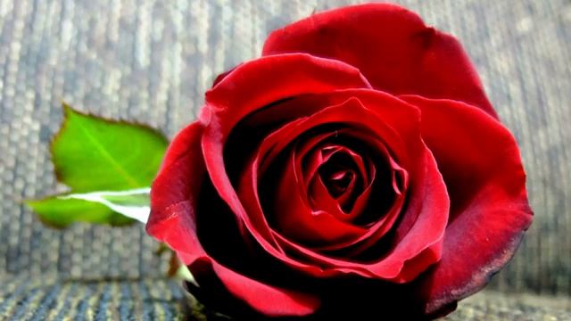 С_Днем_Рождения_Музыкальная_открытка_Зажигательная_песня.mp4