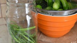 Быстрые маринованные огурцы