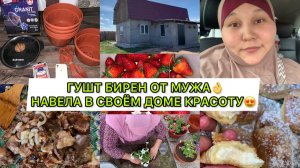 МУЖ ПРИГОТОВИЛ ГУШТ БИРЕН‼️ПЕРЕСАДКА ПЕТУНИЙ В КАШПО НА УЛИЦУРЕЦЕПТ ТВОРОЖНЫХ СОЧНИКОВ