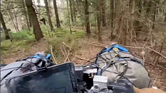 МАЙСКИЕ 2022 смотреть онлайн