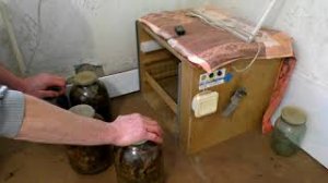 Ферментация табака в домашних условиях,как,зачем и почему.