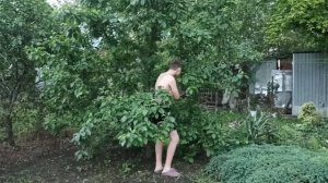 Малыши подрастают / Кормление  НУТРИЙ в экстремальных условиях !!!