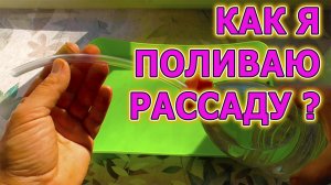 КАК Я ПОЛИВАЮ РАССАДУ И КОМНАТНЫЕ РАСТЕНИЯ ИЗ САМОДЕЛЬНОЙ ПОЛИВАЛКИ. КАК ПОЛИВАТЬ РАССАДУ.