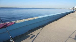 Саратовская набережная. Ночная рыбалка. Фидер. 6 июня