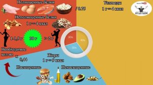 Доходчиво о правильном питании для сжигания жира и набора мышечной массы! Часть 1 СТРУКТУРА РАЦИОНА!