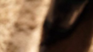 Обзор безмешкового пылесоса BBK BV1505