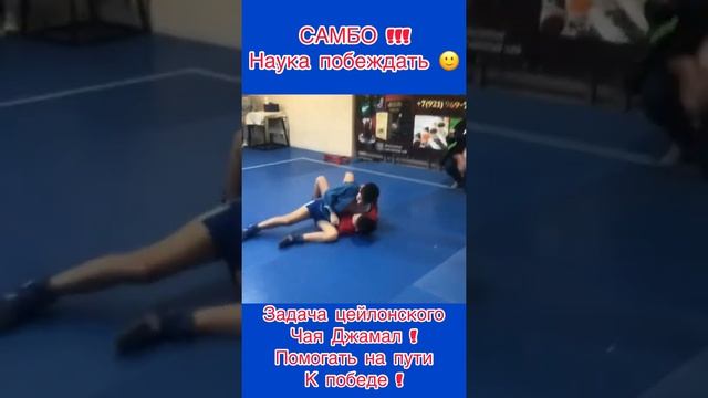 Санкт Петербург федерация самбо соревнования! #Подарок #Зима #самбо #чай смотреть онлайн