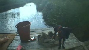 В быньгах на нейве