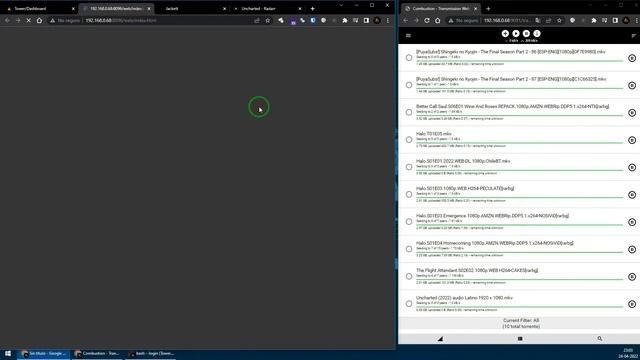 Configurando sonarr/jackett/transmission en UnRAID - parte 02 смотреть онлайн