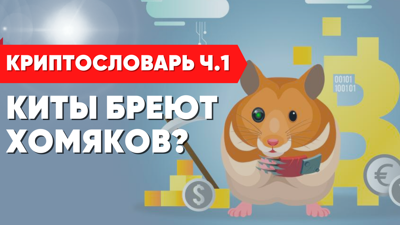 Криптобиржа hamster. Хомяк криптовалюта. Хомяк биткоин. Хомяк биткоин игра. Хомяк с биткоином.