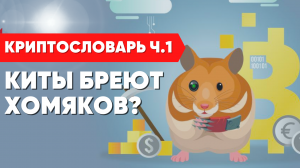 Словарь криптовалют: Что такое майнинг, биткоин, альткоин или хомяк?