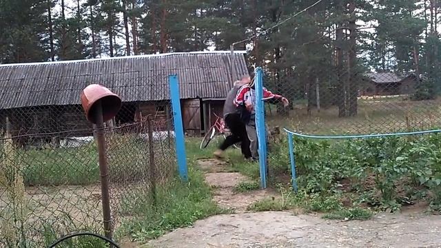 Собака кусает человека. Как не надо себя вести с собакой смотреть онлайн