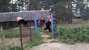 Собака кусает человека. Как не надо себя вести с собакой