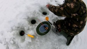 Рыбалка На Истринском Водохранилище. Трусово. Ловля Подлещиков.