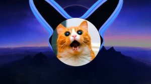 Эту песню лучше сделать на калонке / проверь калонку на басс