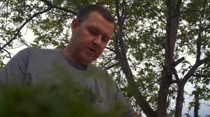 БОГРАЧ В КАЗАНЕ НА КОСТРЕ | ВЕНГЕРСКОЕ БЛЮДО с чипетками