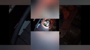 заклинило пятую на газ 3309 ? не выключается пятая валдае?  , показываю как расклинить  на дороге