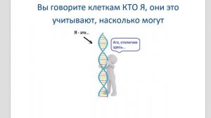 ДНК 2 вебинар lee - начало и следует продолжение