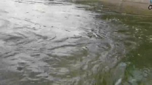 Рыбалка на Бии на ХАРИУСА 🎣