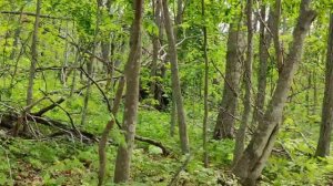 Дорога на остров Шкота. Остров Русский. Приморский край, шикарные виды ??? (HD, 4K качество ??)