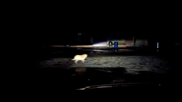 Ксенон 4300К в Шевроле Нива смотреть онлайн