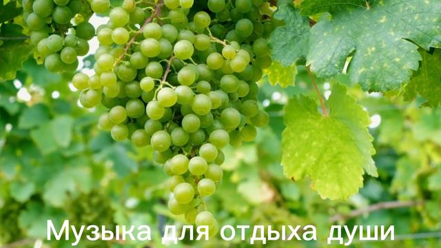 ,,ВМЕСТЕ НАВСЕГДА,, TOGETHER FOREVER ,, muzică de Sergei Grischuk,,,НИЧЕГО НЕ ГОВОРИ #музыка смотреть онлайн