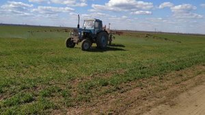 Карбамид 40кг./га. по листу на пшеницу