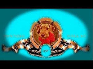 #Маленький #Париж #в Санкт-Петербурге.