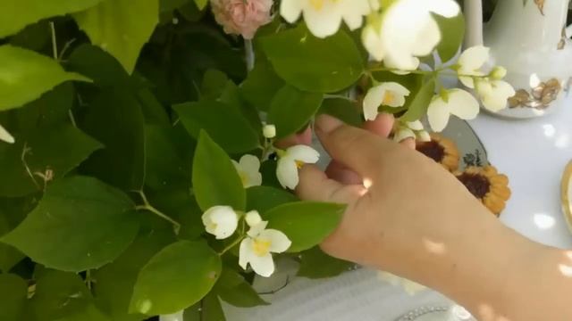 Дачная жизнь. Моя мансарда. Чайная сервировка с золотыми розами. Коттеджкор. Антиквариат. Винтаж.