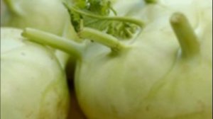 Капуста кольраби особенности выращивание из семян