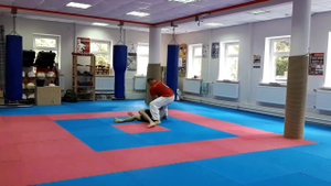 Goju Ryu, Sepai kata. 5st Bunkai. Variation.
