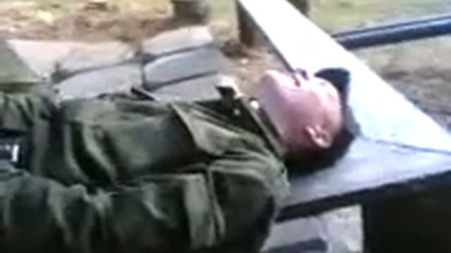 10 птичек смотреть онлайн